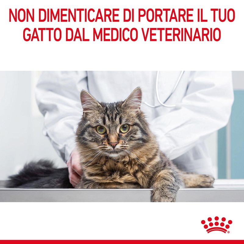 Royal Canin Hairball Care 400g - Crocchette per Gatti Royal Canin Hairball Care 400g - Crocchette per Gatti
